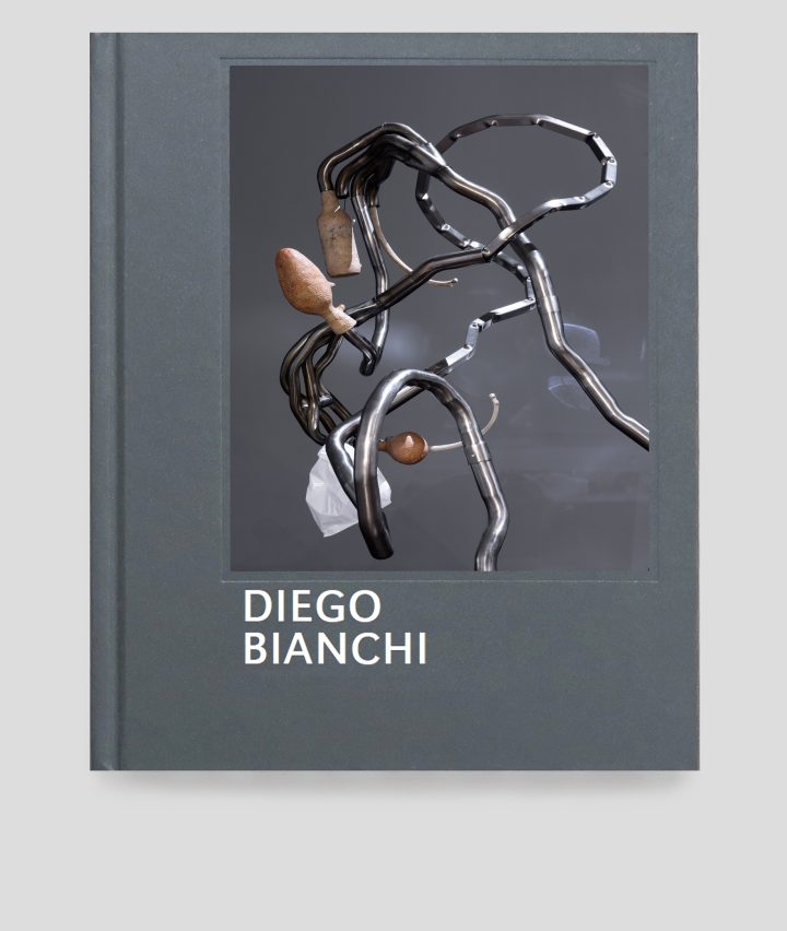 Diego Bianchi